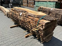 Eik europees schaaldelen ovengedroogd (12x) - afbeelding 4 van  6
