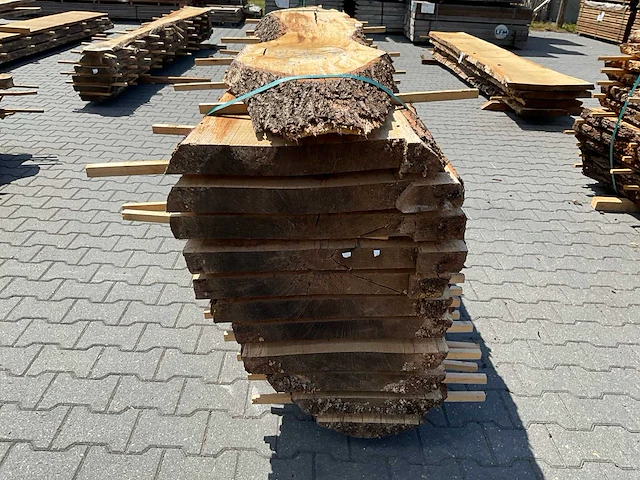 Eik europees schaaldelen ovengedroogd (12x) - afbeelding 5 van  6