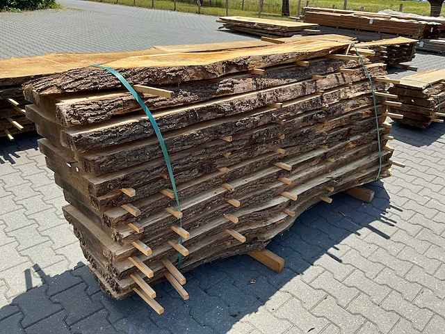 Eik europees schaaldelen ovengedroogd (12x) - afbeelding 6 van  6