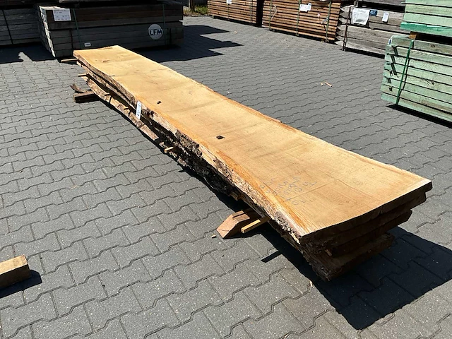 Eik europees schaaldelen ovengedroogd (4x) - afbeelding 4 van  6