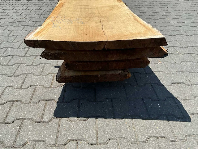 Eik europees schaaldelen ovengedroogd (4x) - afbeelding 5 van  6