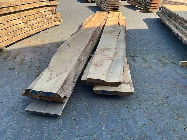 Eik europees schaaldelen ovengedroogd (55mm) (4x) - afbeelding 4 van  4