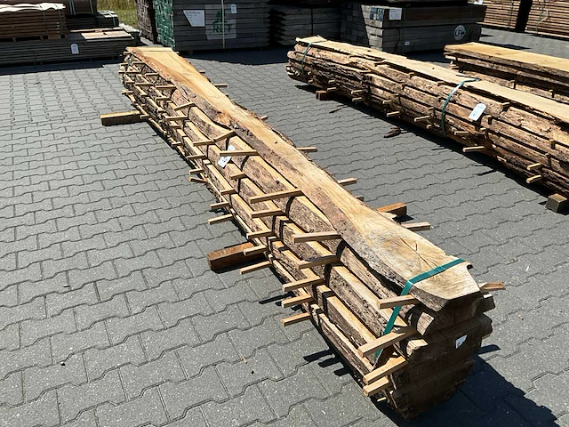 Eik europees schaaldelen ovengedroogd (5x) - afbeelding 4 van  6