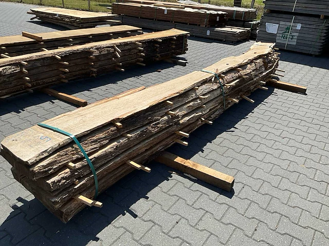 Eik europees schaaldelen ovengedroogd (5x) - afbeelding 6 van  6
