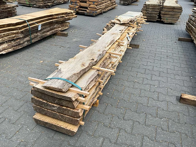 Eik europees schaaldelen ovengedroogd (60mm) (6x) - afbeelding 1 van  6