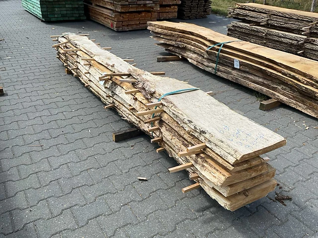Eik europees schaaldelen ovengedroogd (60mm) (6x) - afbeelding 4 van  6