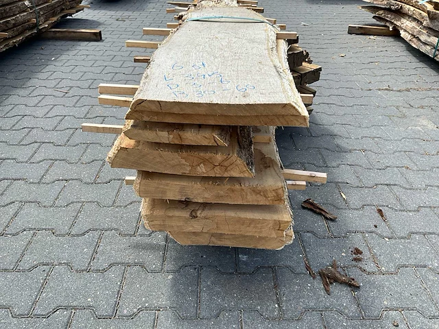 Eik europees schaaldelen ovengedroogd (60mm) (6x) - afbeelding 5 van  6