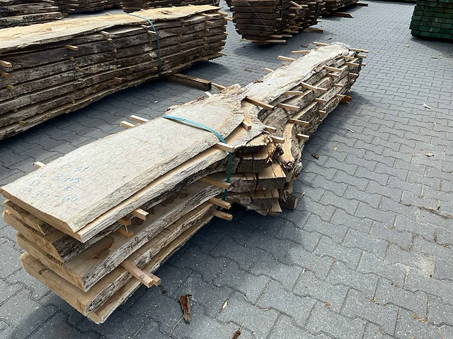 Eik europees schaaldelen ovengedroogd (60mm) (6x) - afbeelding 6 van  6