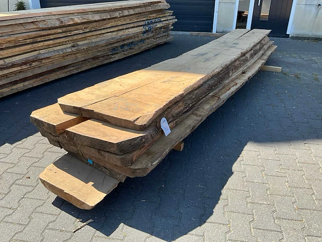 Eik europees schaaldelen ovengedroogd (65mm) (6x) - afbeelding 1 van  4
