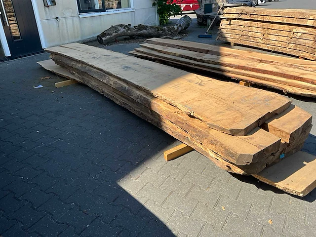Eik europees schaaldelen ovengedroogd (65mm) (6x) - afbeelding 3 van  4