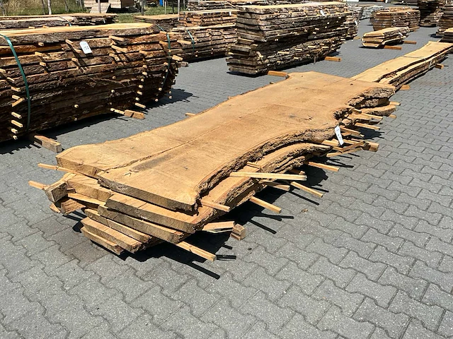 Eik europees schaaldelen ovengedroogd (6x) - afbeelding 1 van  6
