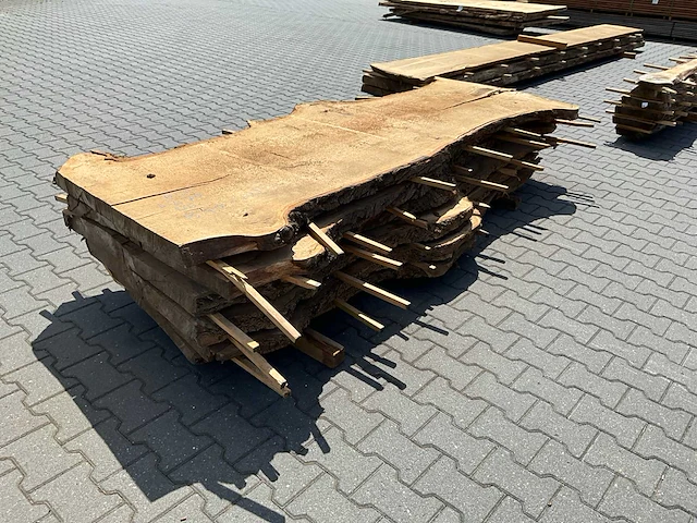 Eik europees schaaldelen ovengedroogd (6x) - afbeelding 6 van  6