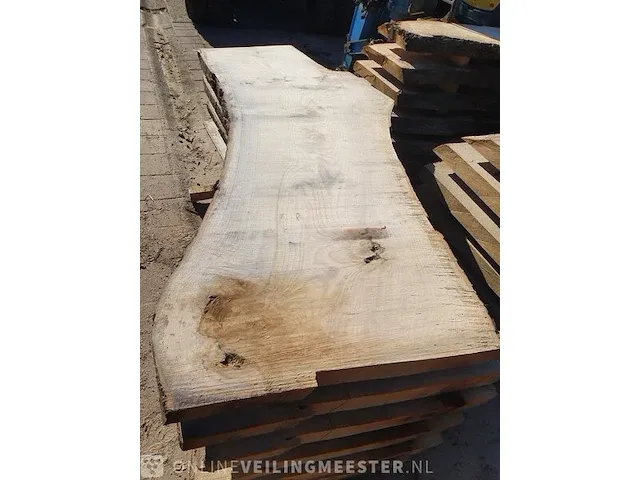 Eiken boomstam schaaldeel - afbeelding 1 van  3