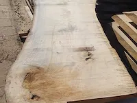 Eiken boomstam schaaldeel - afbeelding 1 van  3