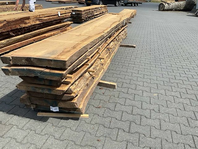 Eiken europees schaaldeel ovengedroogd (8x) - afbeelding 1 van  6
