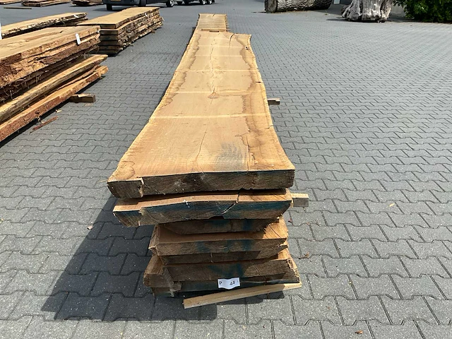 Eiken europees schaaldeel ovengedroogd (8x) - afbeelding 2 van  6