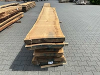 Eiken europees schaaldeel ovengedroogd (8x) - afbeelding 2 van  6