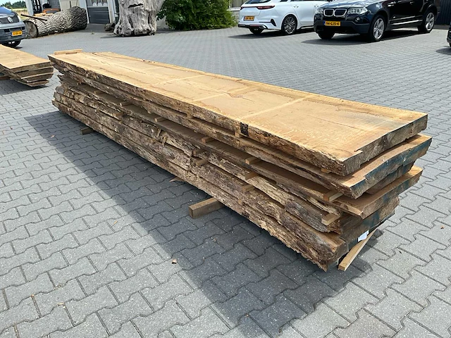 Eiken europees schaaldeel ovengedroogd (8x) - afbeelding 3 van  6