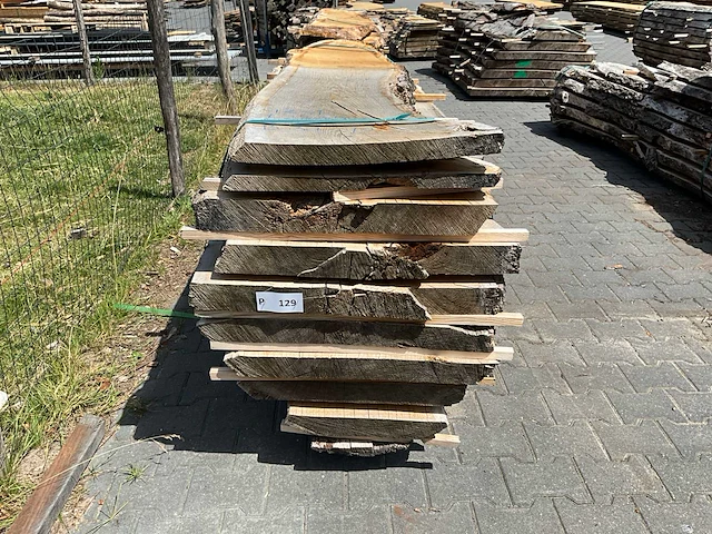 Eiken europees schaaldelen (12x) - afbeelding 2 van  4