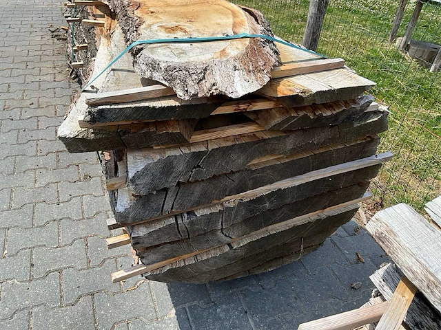 Eiken europees schaaldelen (12x) - afbeelding 3 van  4