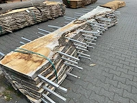 Eiken europees schaaldelen (55mm) (6x) - afbeelding 3 van  7