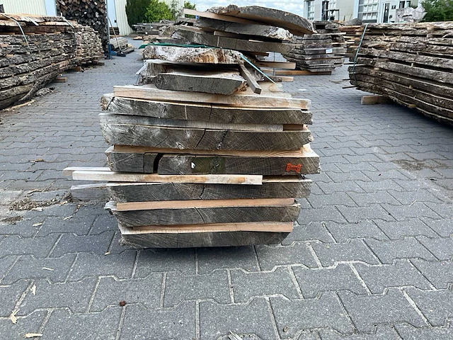 Eiken europees schaaldelen (60mm) (11x) - afbeelding 3 van  5