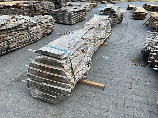 Eiken europees schaaldelen (60mm) (8x) - afbeelding 1 van  4