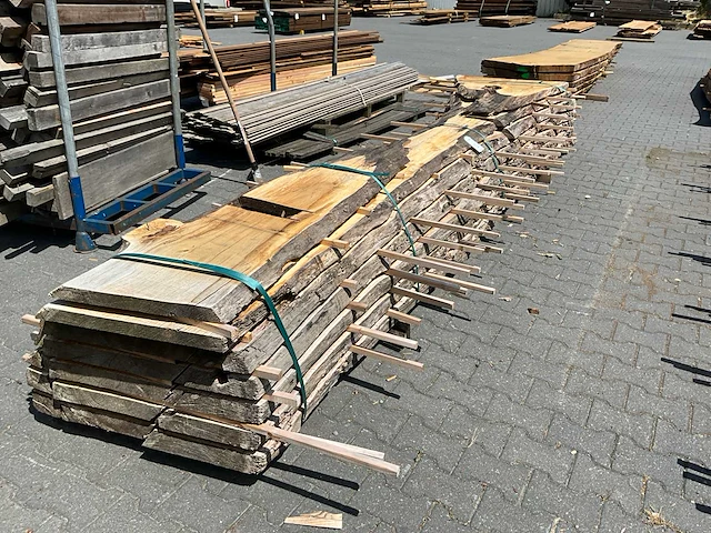 Eiken europees schaaldelen (6x) - afbeelding 1 van  7