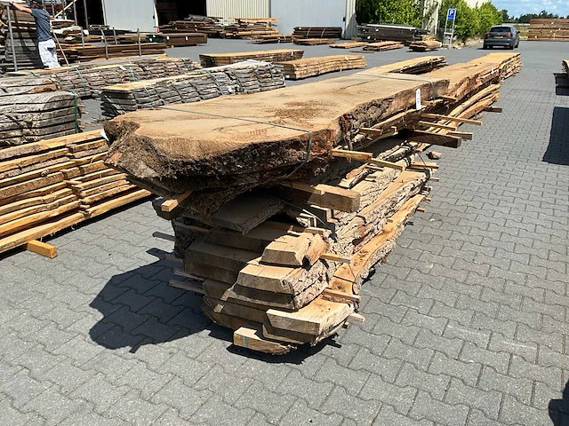 Eiken europees schaaldelen ovengedroogd (12x) - afbeelding 1 van  6