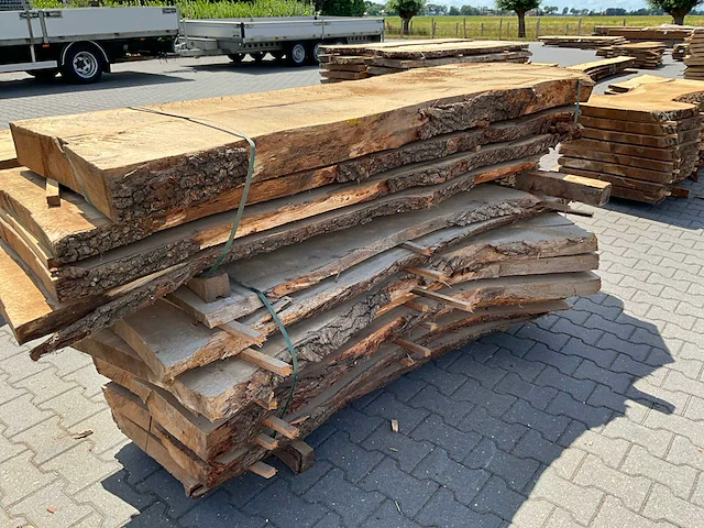 Eiken europees schaaldelen ovengedroogd (12x) - afbeelding 5 van  6
