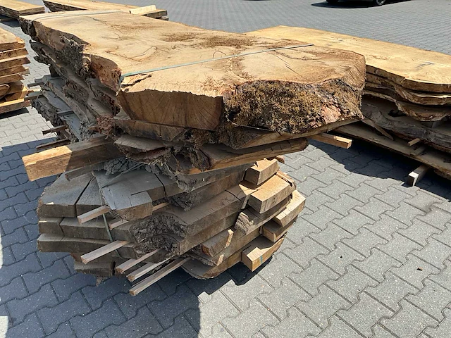 Eiken europees schaaldelen ovengedroogd (12x) - afbeelding 6 van  6