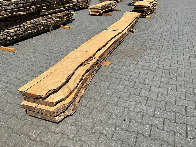 Eiken europees schaaldelen ovengedroogd (55mm) (4x) - afbeelding 1 van  6
