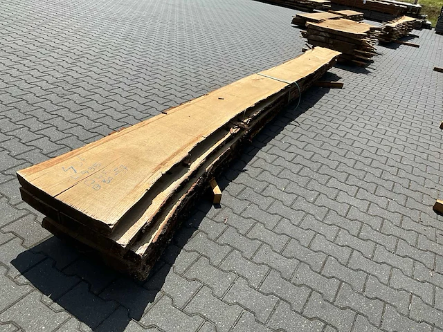 Eiken europees schaaldelen ovengedroogd (55mm) (4x) - afbeelding 6 van  6
