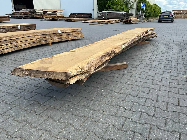 Eiken europees schaaldelen ovengedroogd (55mm) (5x) - afbeelding 1 van  6