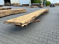 Eiken europees schaaldelen ovengedroogd (55mm) (5x) - afbeelding 1 van  6