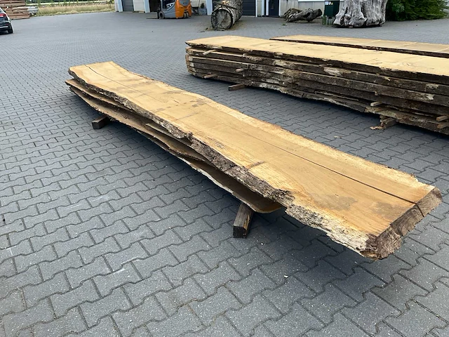 Eiken europees schaaldelen ovengedroogd (55mm) (5x) - afbeelding 4 van  6