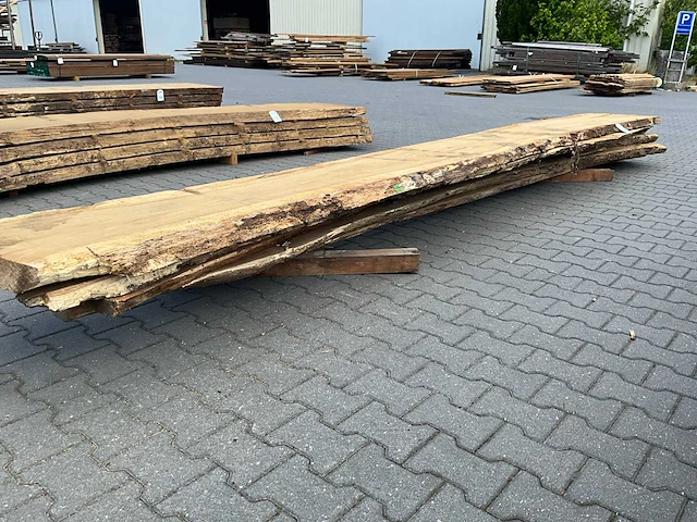 Eiken europees schaaldelen ovengedroogd (55mm) (5x) - afbeelding 5 van  6