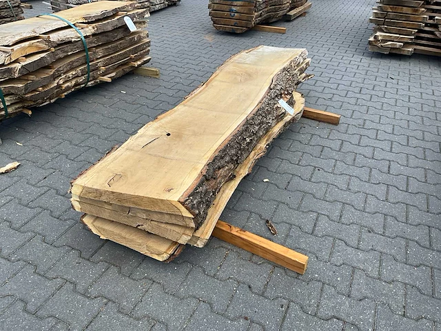Eiken europees schaaldelen ovengedroogd (55mm) (5x) - afbeelding 1 van  5