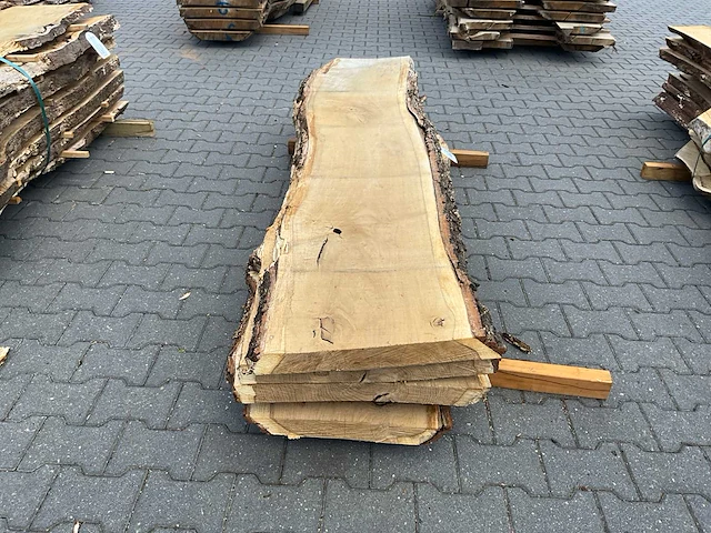 Eiken europees schaaldelen ovengedroogd (55mm) (5x) - afbeelding 2 van  5