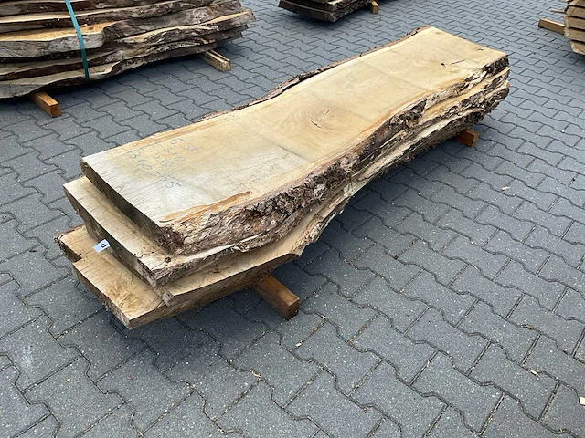 Eiken europees schaaldelen ovengedroogd (55mm) (5x) - afbeelding 5 van  5