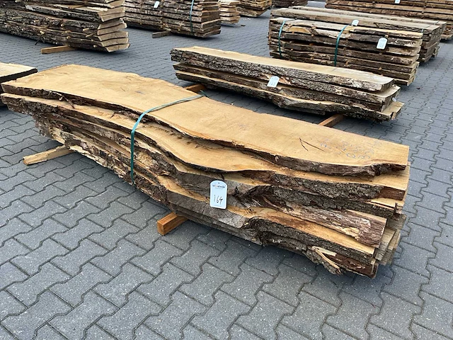 Eiken europees schaaldelen ovengedroogd (55mm) (7x) - afbeelding 4 van  6
