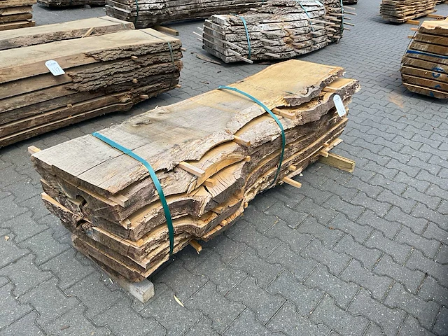 Eiken europees schaaldelen ovengedroogd (55mm) (7x) - afbeelding 2 van  5
