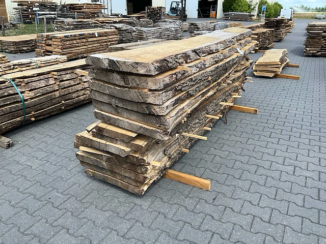Eiken europees schaaldelen ovengedroogd (60mm) (14x) - afbeelding 1 van  6