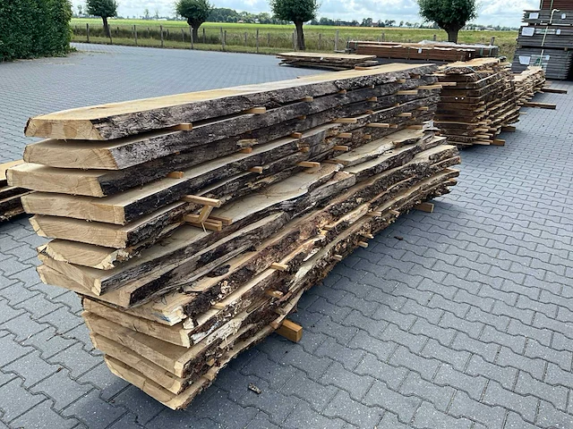 Eiken europees schaaldelen ovengedroogd (60mm) (14x) - afbeelding 6 van  6