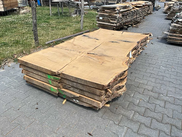 Eiken europees schaaldelen ovengedroogd (60mm) (5x) - afbeelding 1 van  6