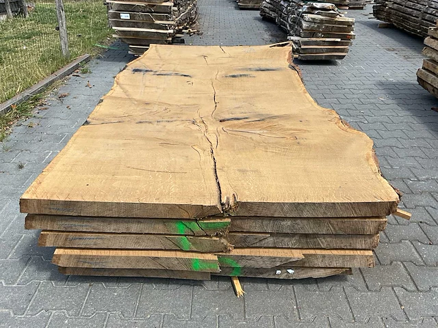 Eiken europees schaaldelen ovengedroogd (60mm) (5x) - afbeelding 2 van  6