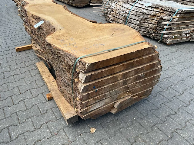 Eiken europees schaaldelen ovengedroogd (60mm) (8x) - afbeelding 3 van  4