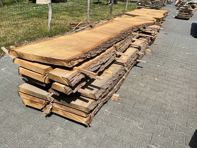 Eiken europees schaaldelen ovengedroogd (60mm) (8x) - afbeelding 1 van  7