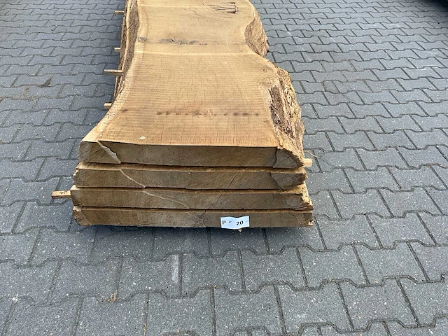 Eiken europees schaaldelen ovengedroogd (70mm) (4x) - afbeelding 2 van  5