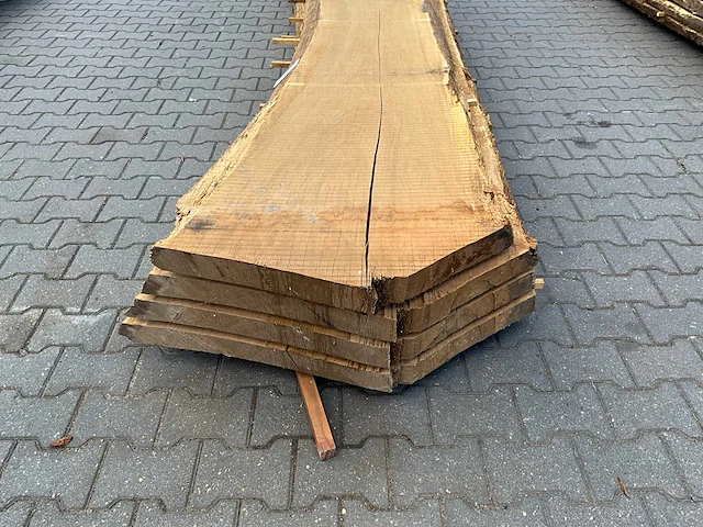 Eiken europees schaaldelen ovengedroogd (70mm) (4x) - afbeelding 5 van  5